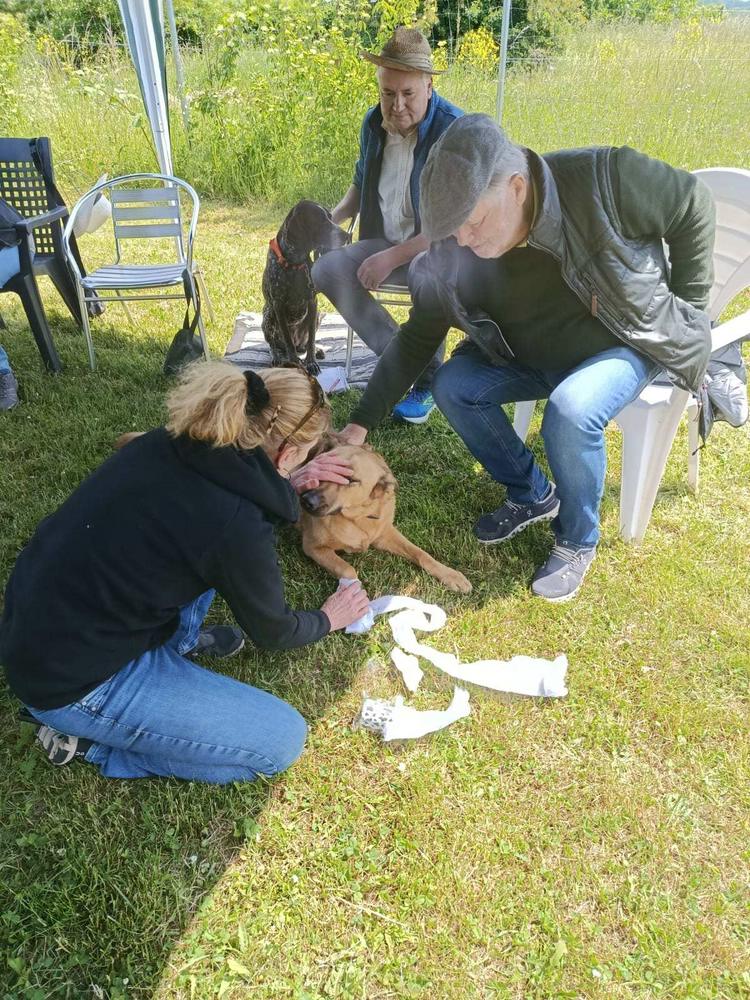 comp_erste Hilfe 15.05.25.jpg11